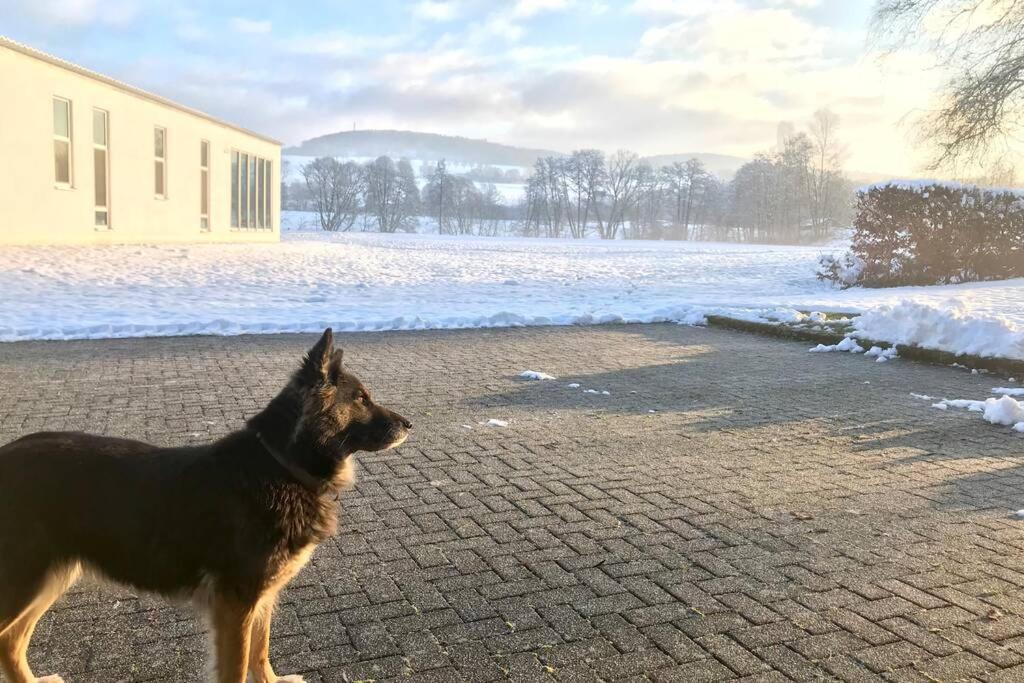 Ferienhaus Talblick Alpenrod エクステリア 写真